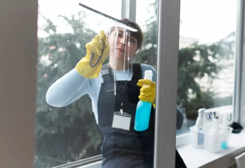 Nettoyage de vitres intérieures et extérieures à Fayet